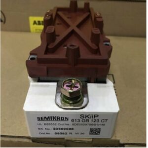 Inicio SKIIP 613GB123CT